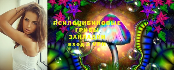 герыч Арсеньев