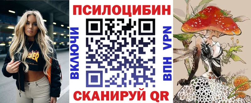 Псилоцибиновые грибы Psilocybe  магазин  наркотиков  mega   Аткарск 